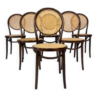 Lot de 6 chaises de salle à manger en bois courbé et rotin Zpm Radomsko, années 1970