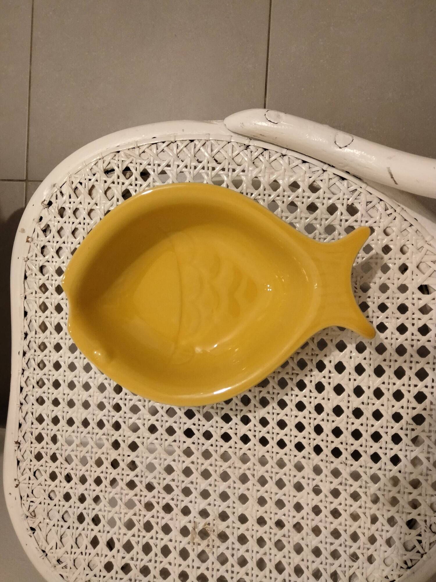 Plat ou moule de cuisson vintage en forme poisson Appolia France