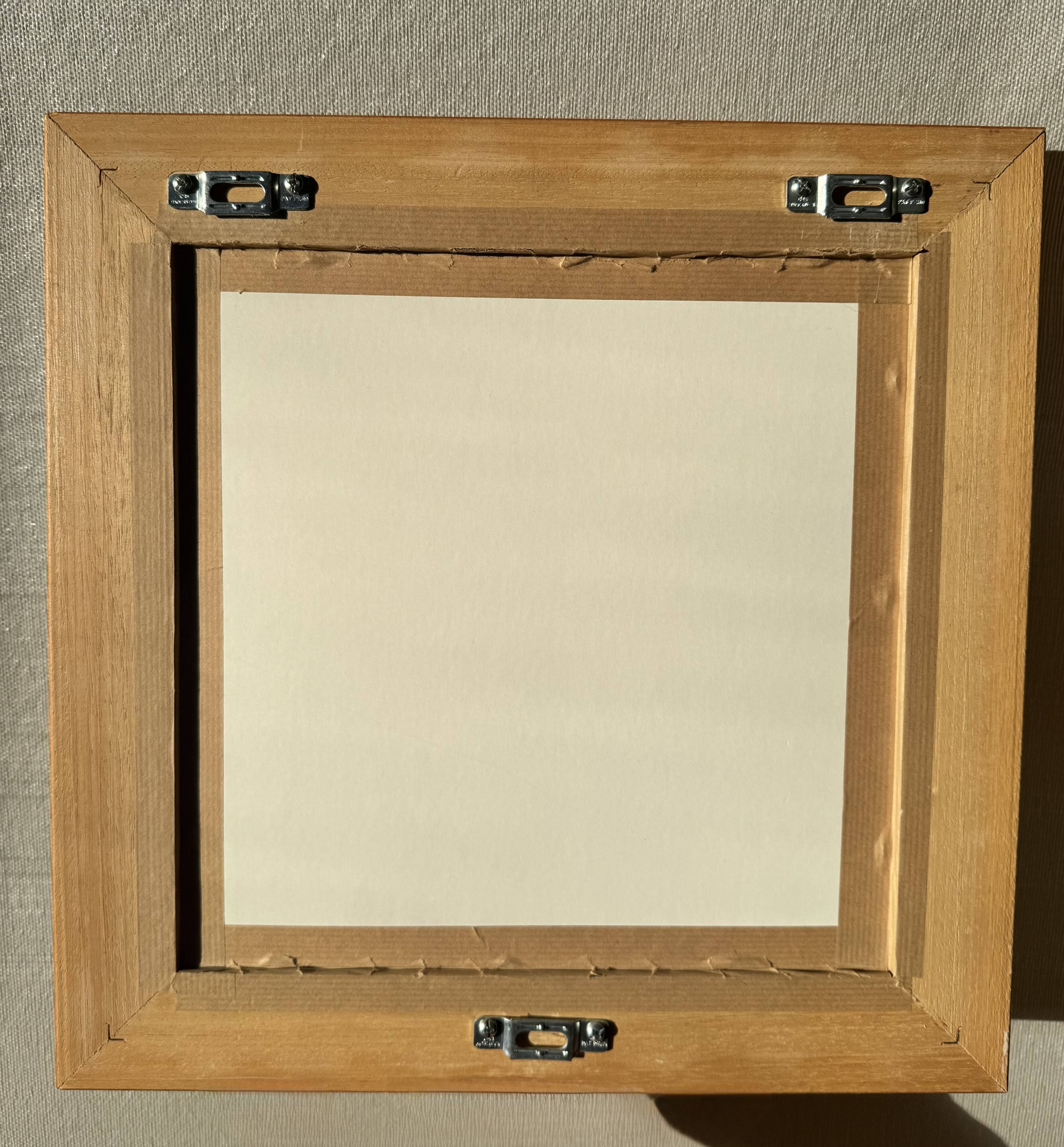 Framed naturalistic illustration of a butterfly, 36 x 36 cm.