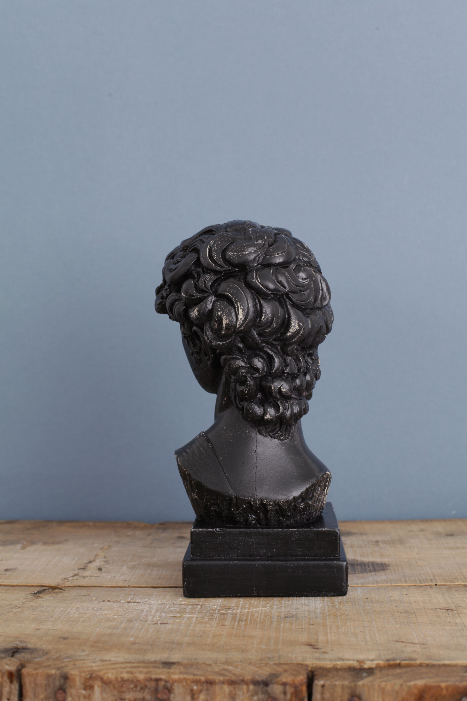 David head in black waxed bean