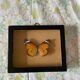 Naturalized butterfly frame taxidermies