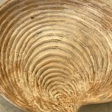 Large shell dish