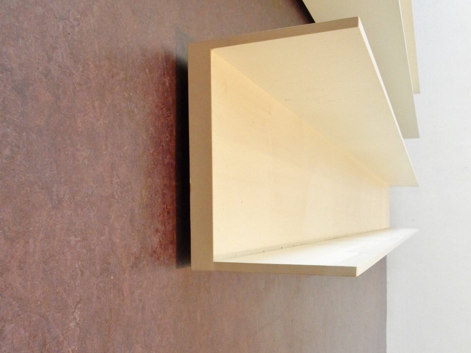 Set of 2 large wall mounted shelves by Walter Wirz for Wilhelm Renz, Germany 1960's