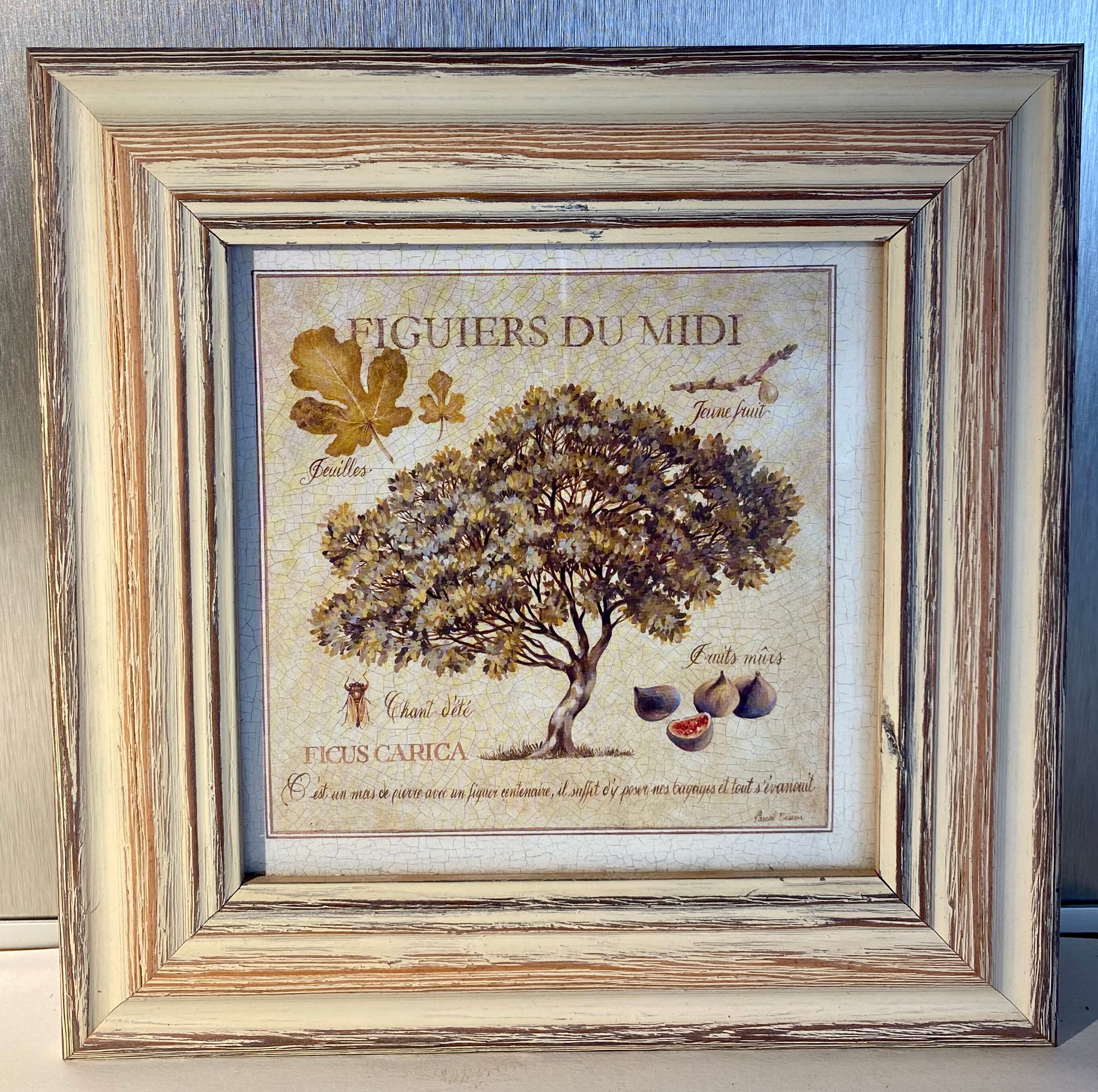 Botanical painting, fig tree of the south, XXI century