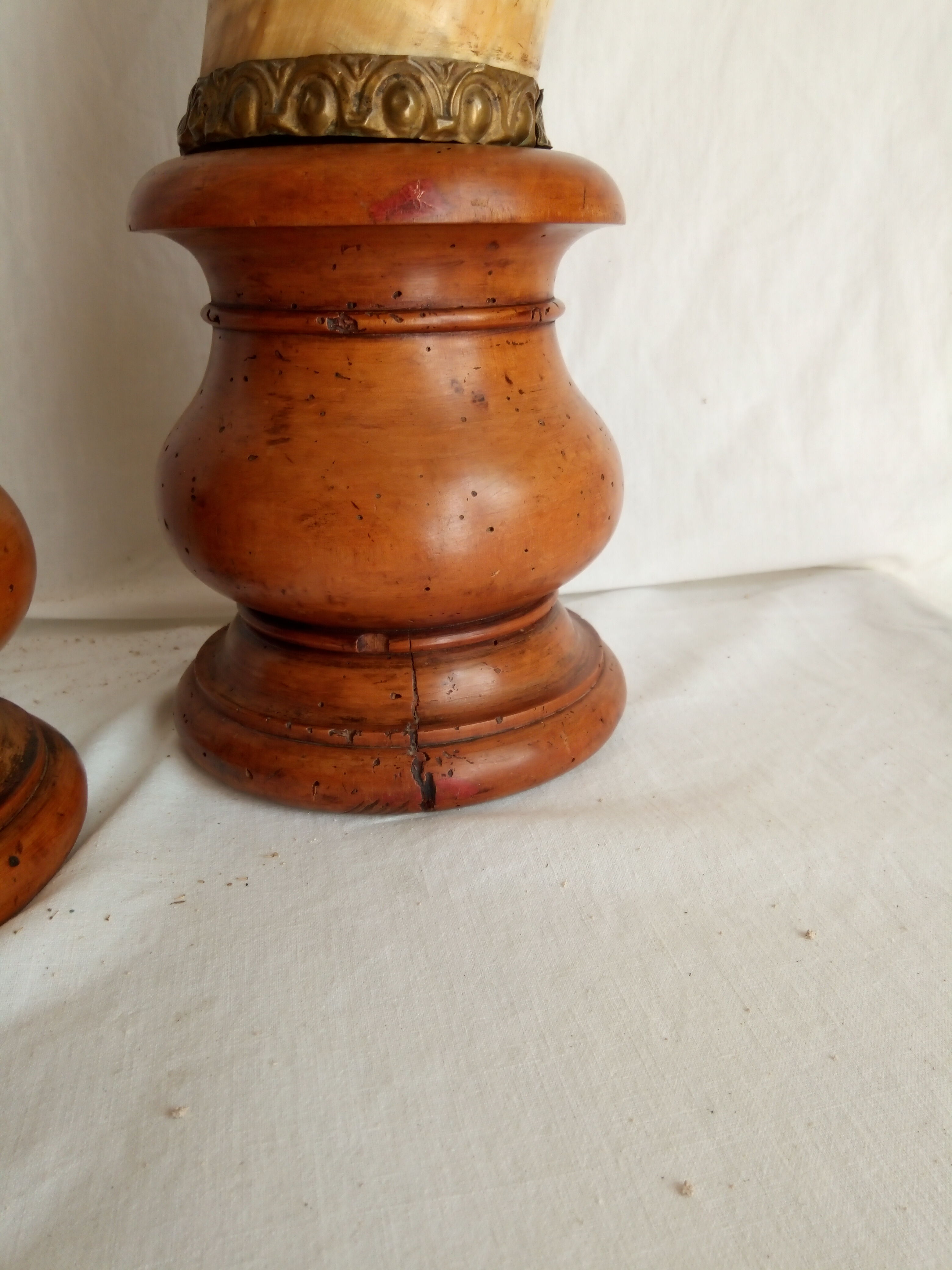 Pair of horns mounted on a pedestal