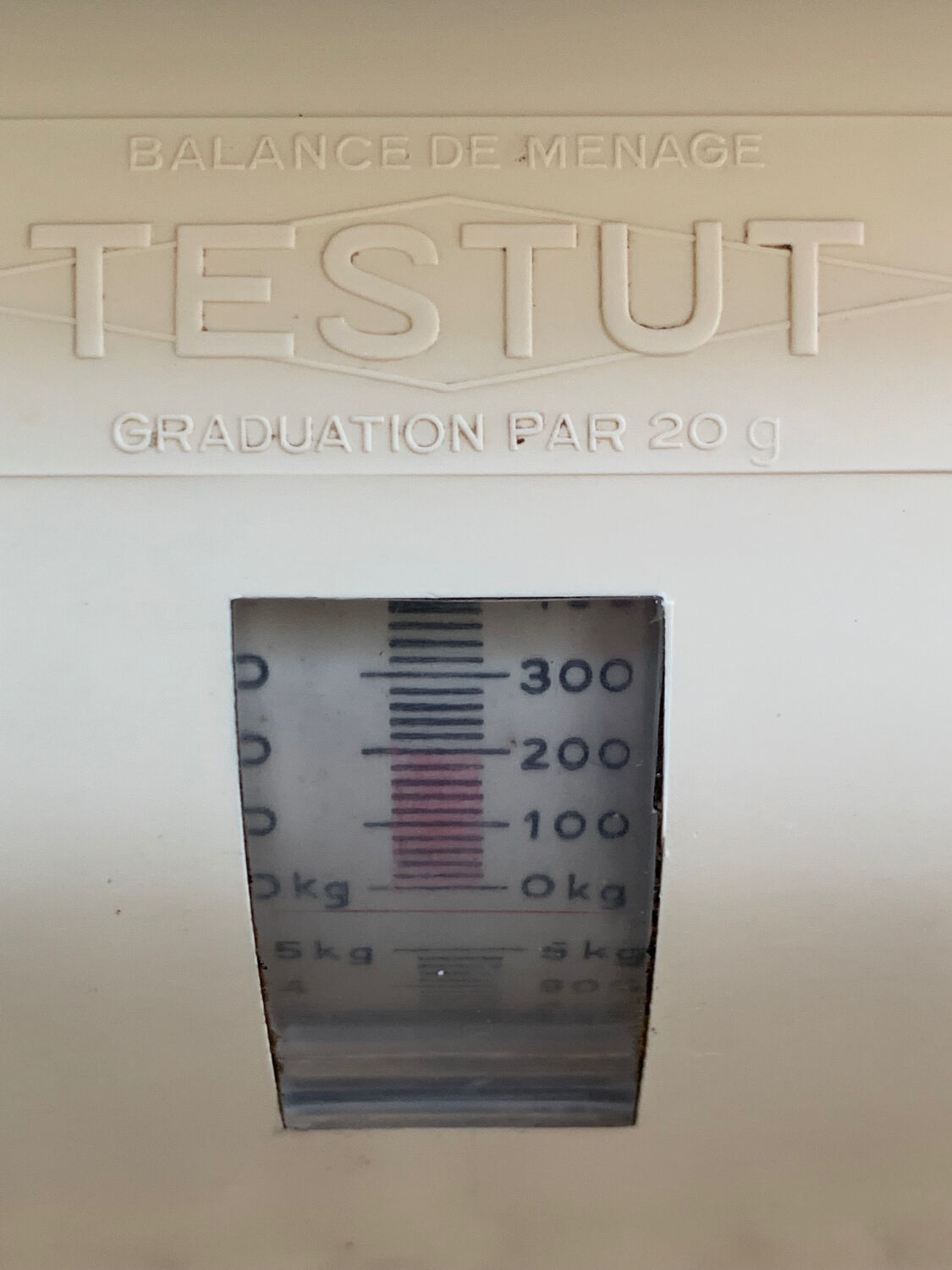 Testut household balance