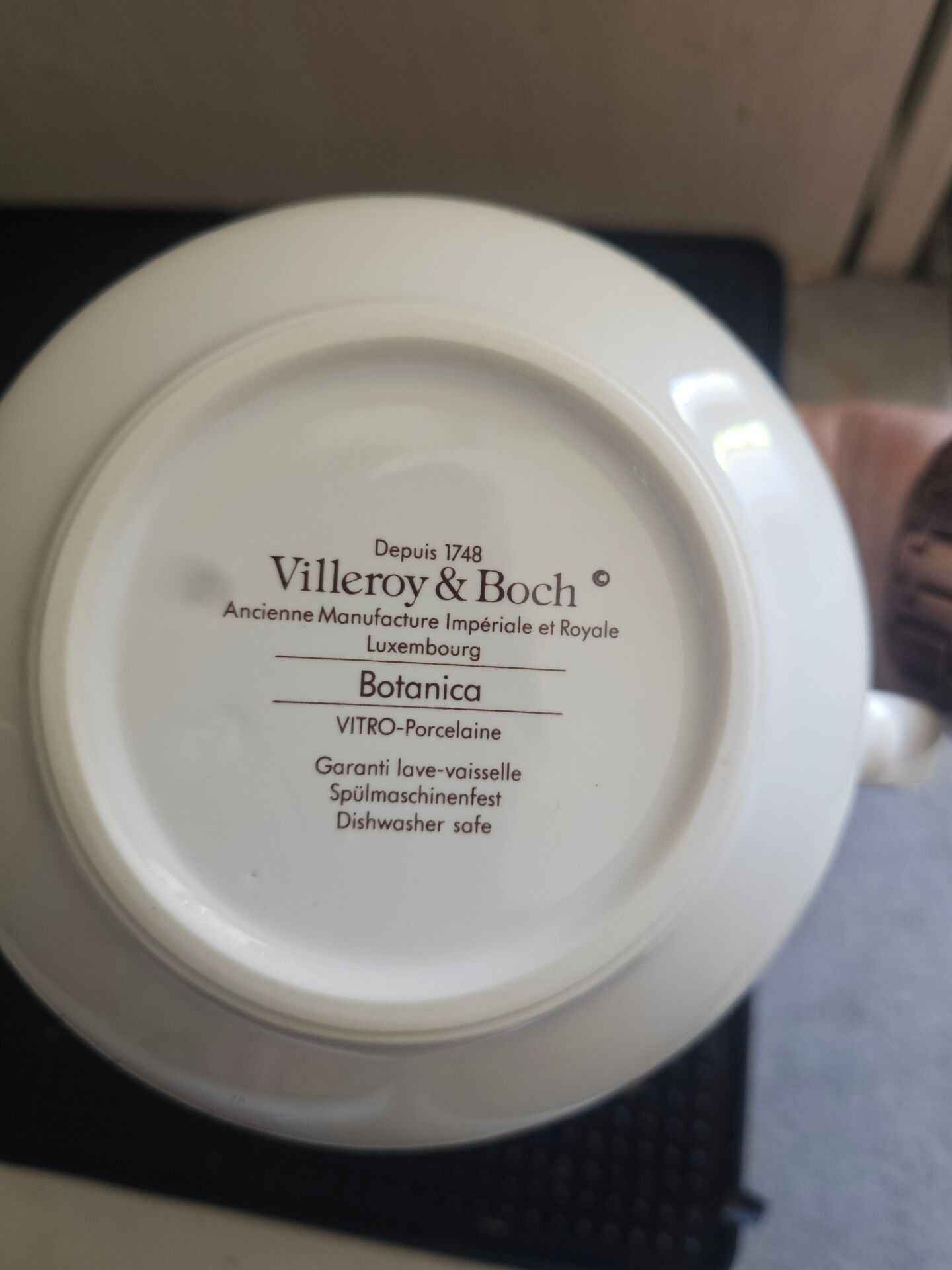 Vintage Teapot Villeroy & Boch – Iconic Collection "Botanica"