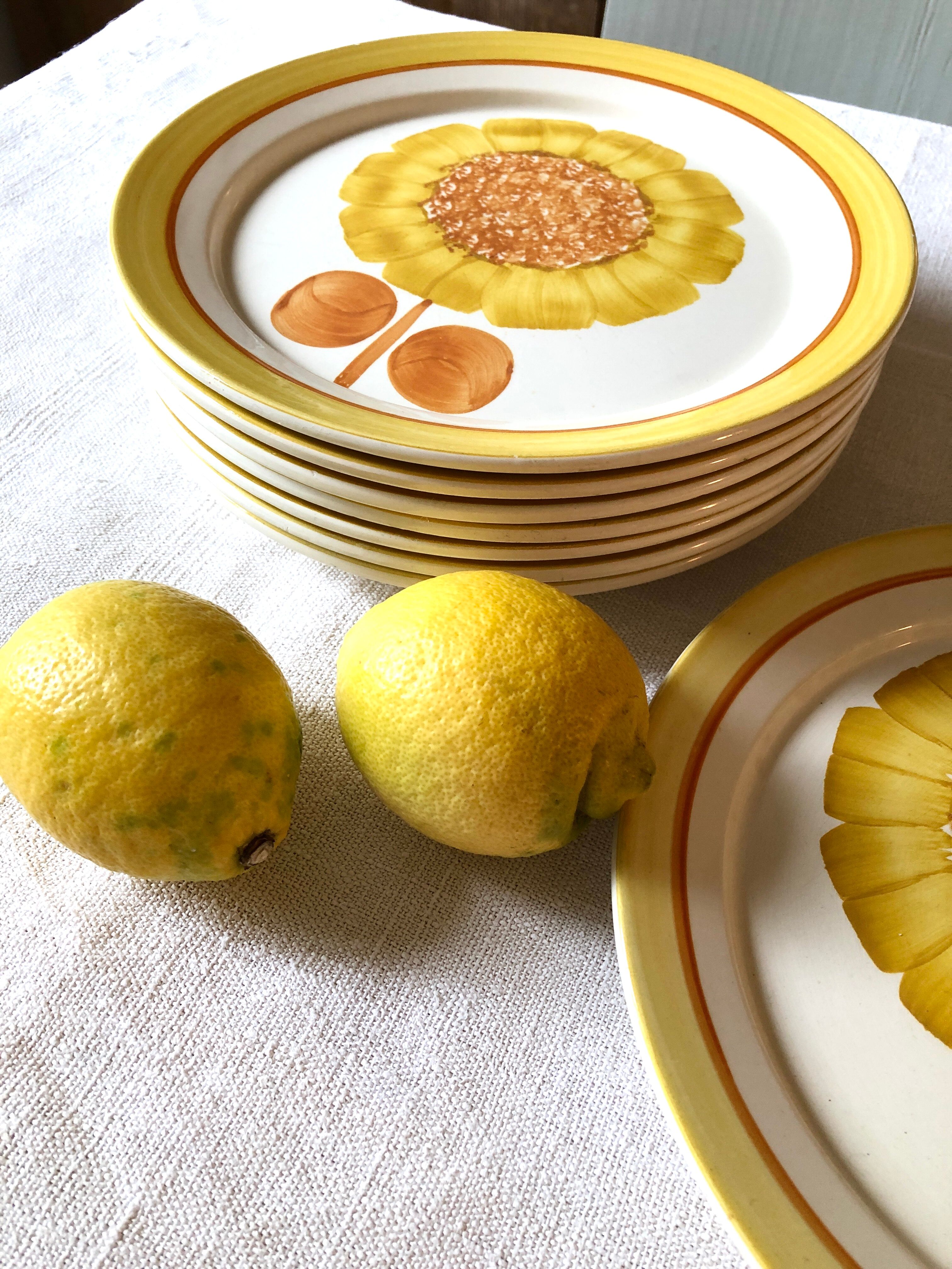 Series of eight Sarreguemines plates