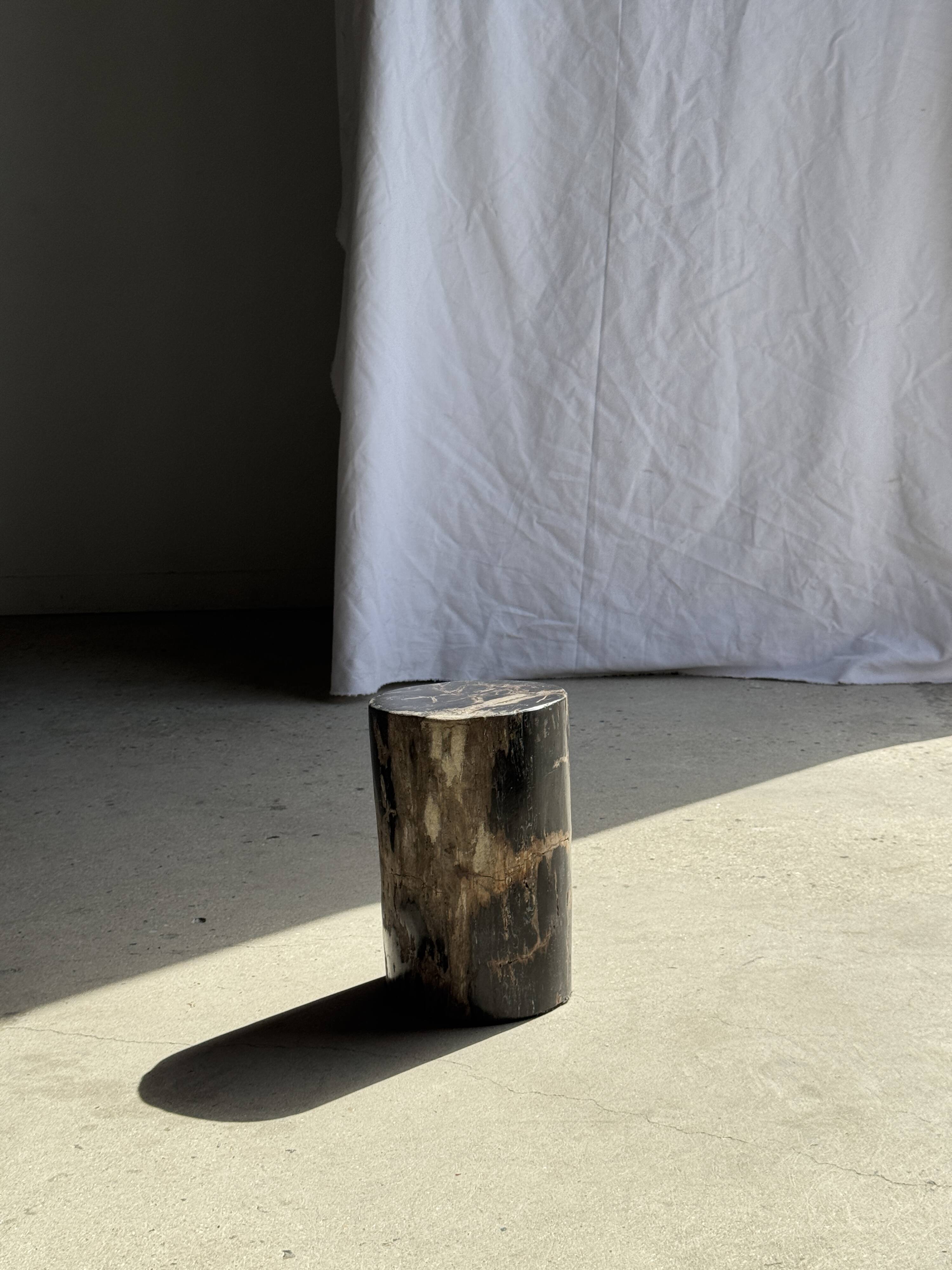 Table d'appoint en bois pétrifié noir