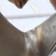 Radice bronze boat propeller