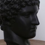 Greek head in waxed black plaster