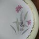Sarreguemines cake dish