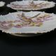 6 Limoges porcelain dessert plates 1900 - Bird decor