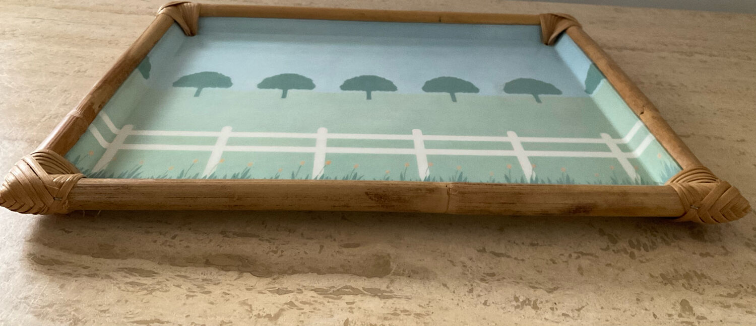 Vintage alpac tray in fiberglass and rattan