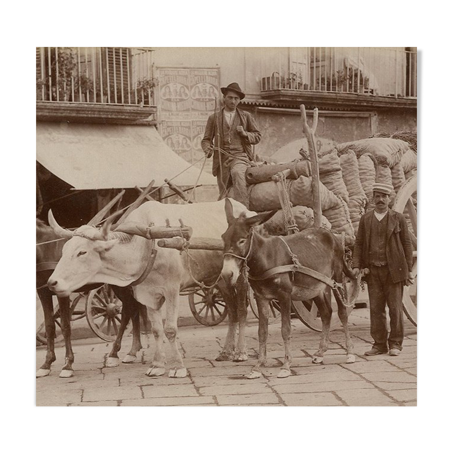 Print Alinari albumen Naples Italy Italy Italy circa 1880