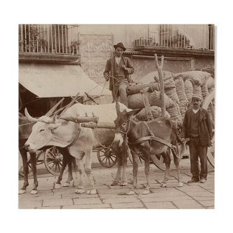 Alinari Print Albumen Naples Italy circa 1880
