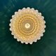 Vintage moulded glass wall or ceiling light globe