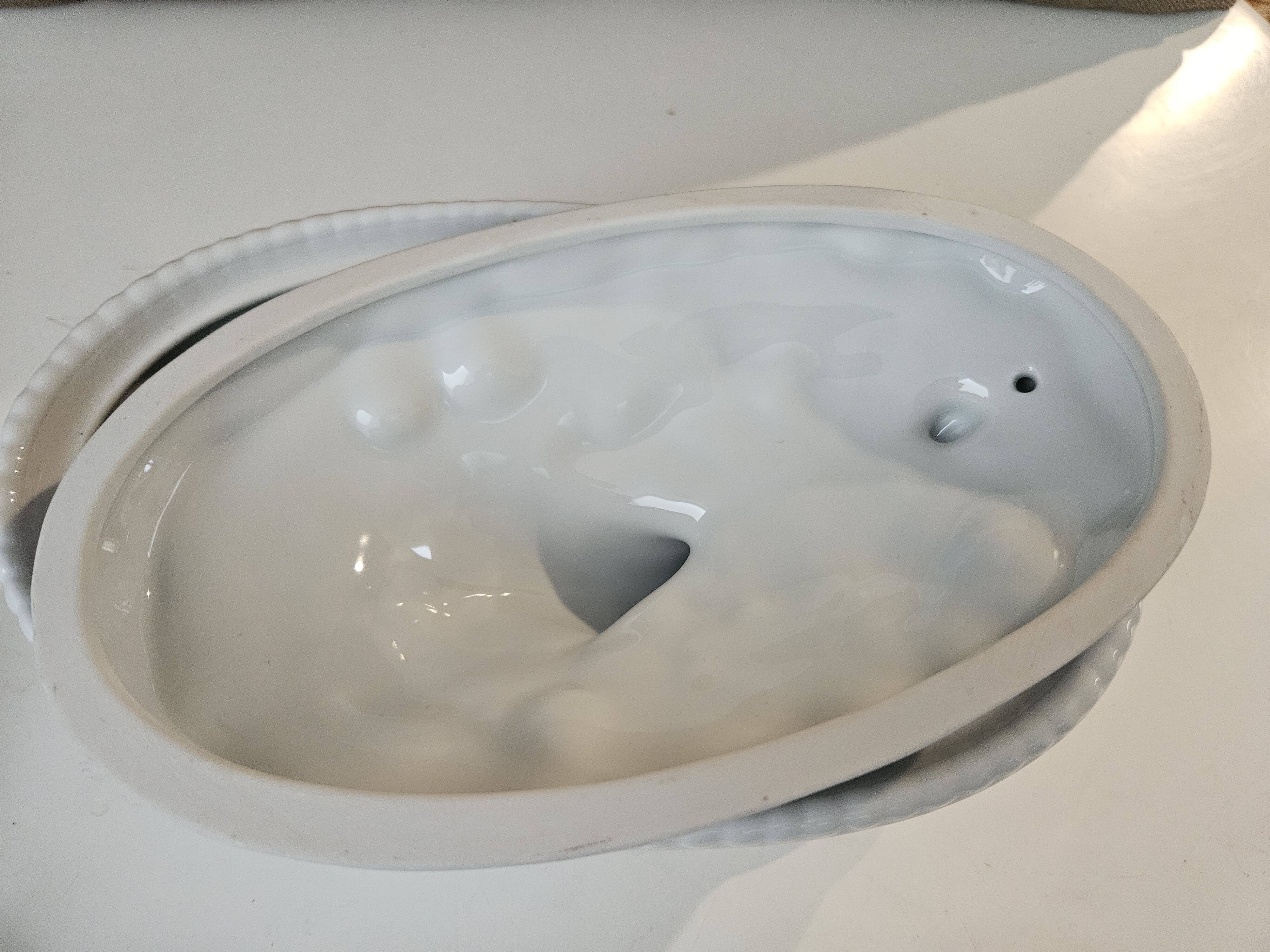White porcelain terrine with white goose