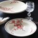 Set of 6 Terre de Fer St Amand "cherry" deep plates