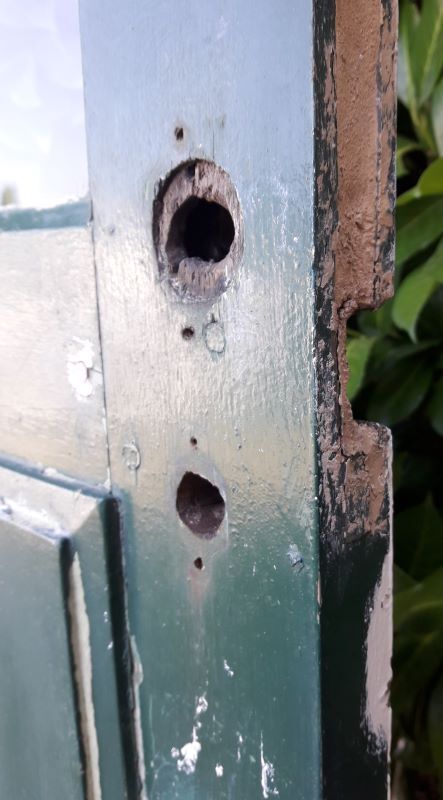 door 80x213cm Old oak glazed landing