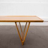 Scandinavian coffee table