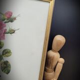 Frame lithograph rosier four seasons with variegated leaves