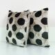 Pair of cushions