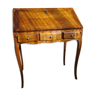 Secretary back of donkey in cherry with writing