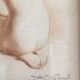 Eaux Forte à la sanguine signed Jean Vyboud 'Femme nue de dos'