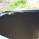 Jacobsen chair series 7 old edition