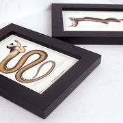 Lot de 2 chimère encadrées lithographie gravure animal