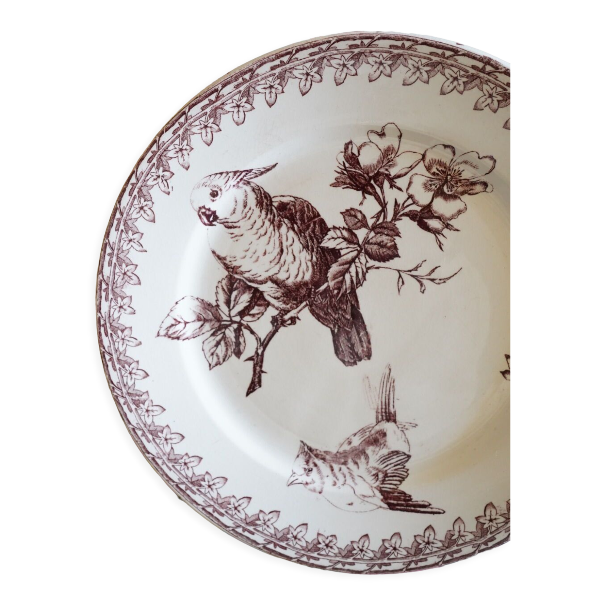 2 Old Dessert Plates "Buffon", iron earth, Sarreguemines