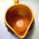 Salins dabbling pitcher