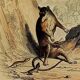 Original zoological plank " sarigues - gerboise - little grey " buffon 1838