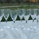 7 Cut Crystal Wine Glasses Faceted leg Baccarat, Saint Louis ??