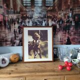 Tableau photo vintage Libellule