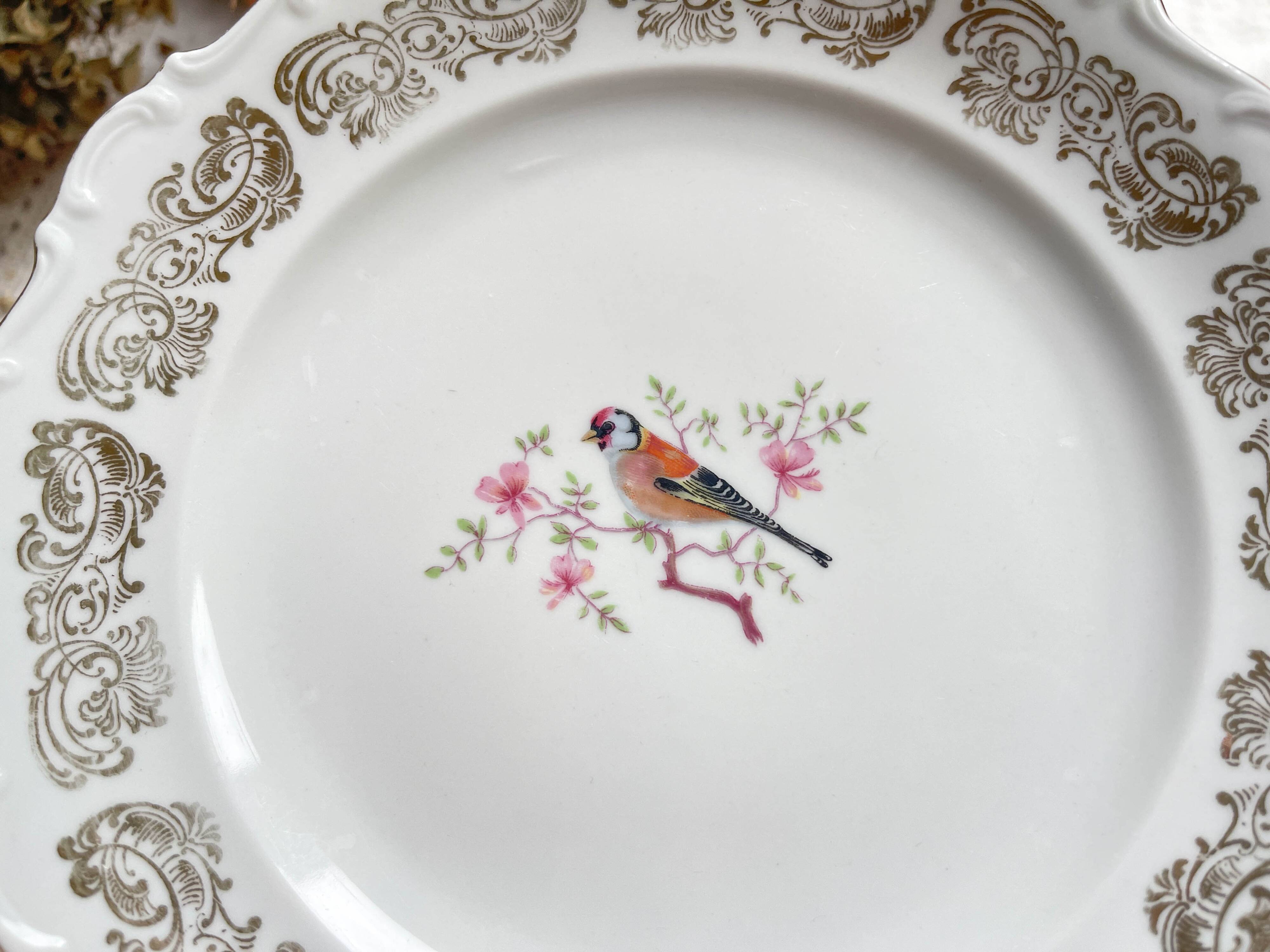 6 Small vintage plates in gold white porcelain Bavaria bird motif