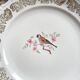 6 Small vintage plates in gold white porcelain Bavaria bird motif
