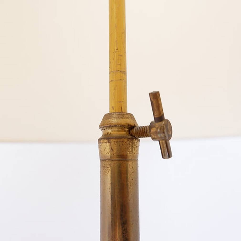 Mid-Century teak and brass floor lamp, Denmark, 1960s