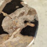 Side table in petrified wood