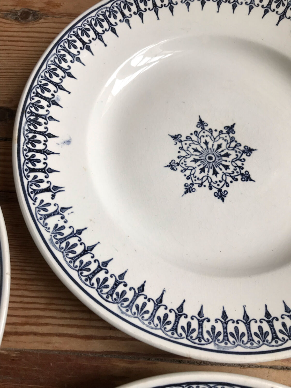 Series of 8 flat plates "PRIMAX"