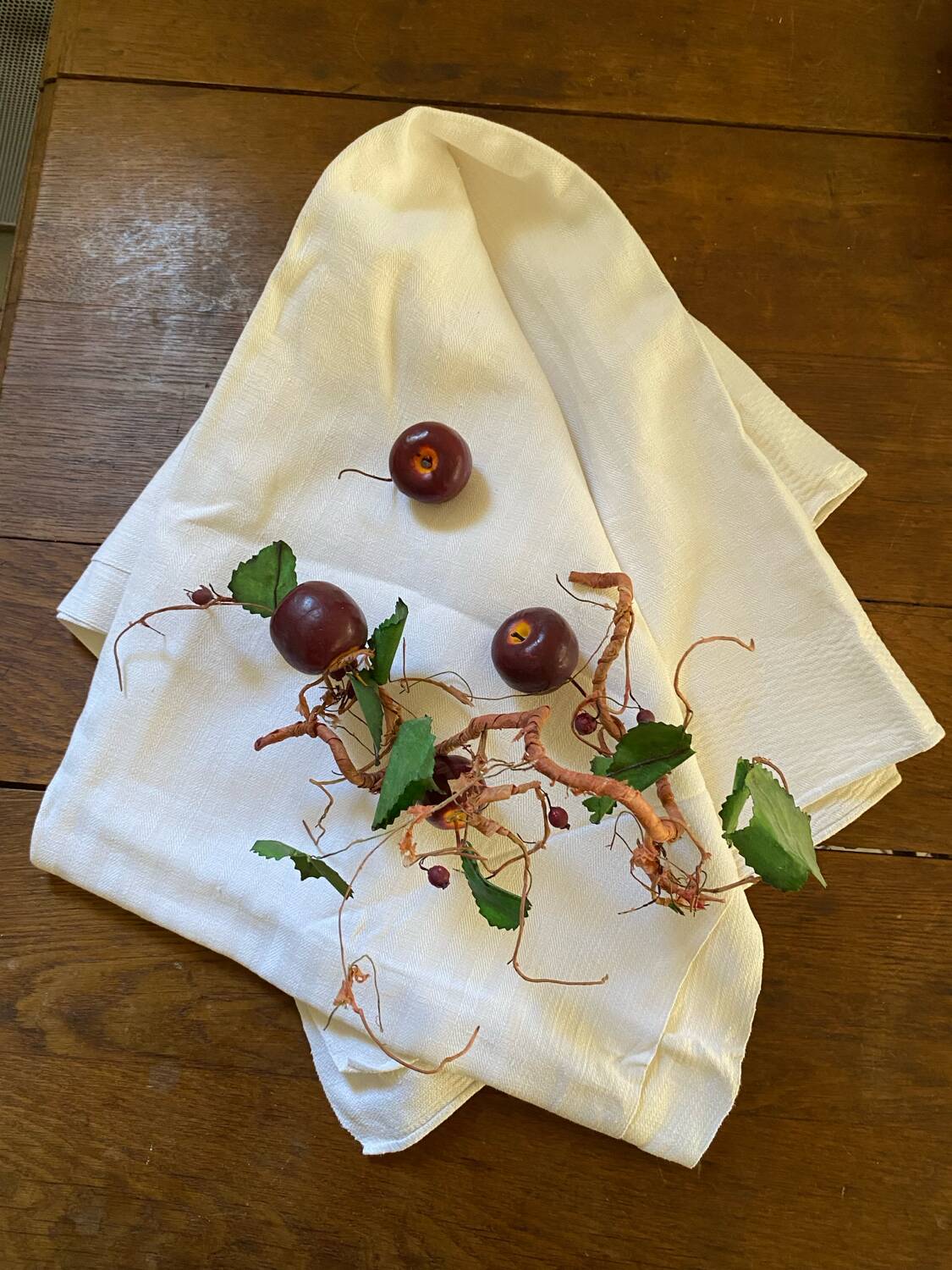 Old winegrower's tablecloth.