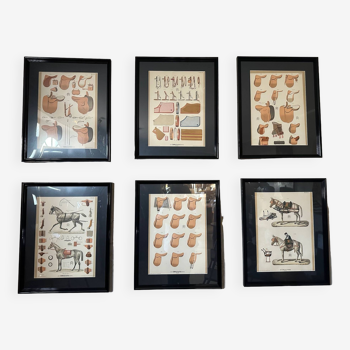 Set of 6 equestrian posters