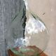Demijohn 20 l