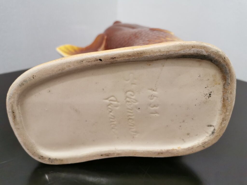 Pitcher fish Saint Clement