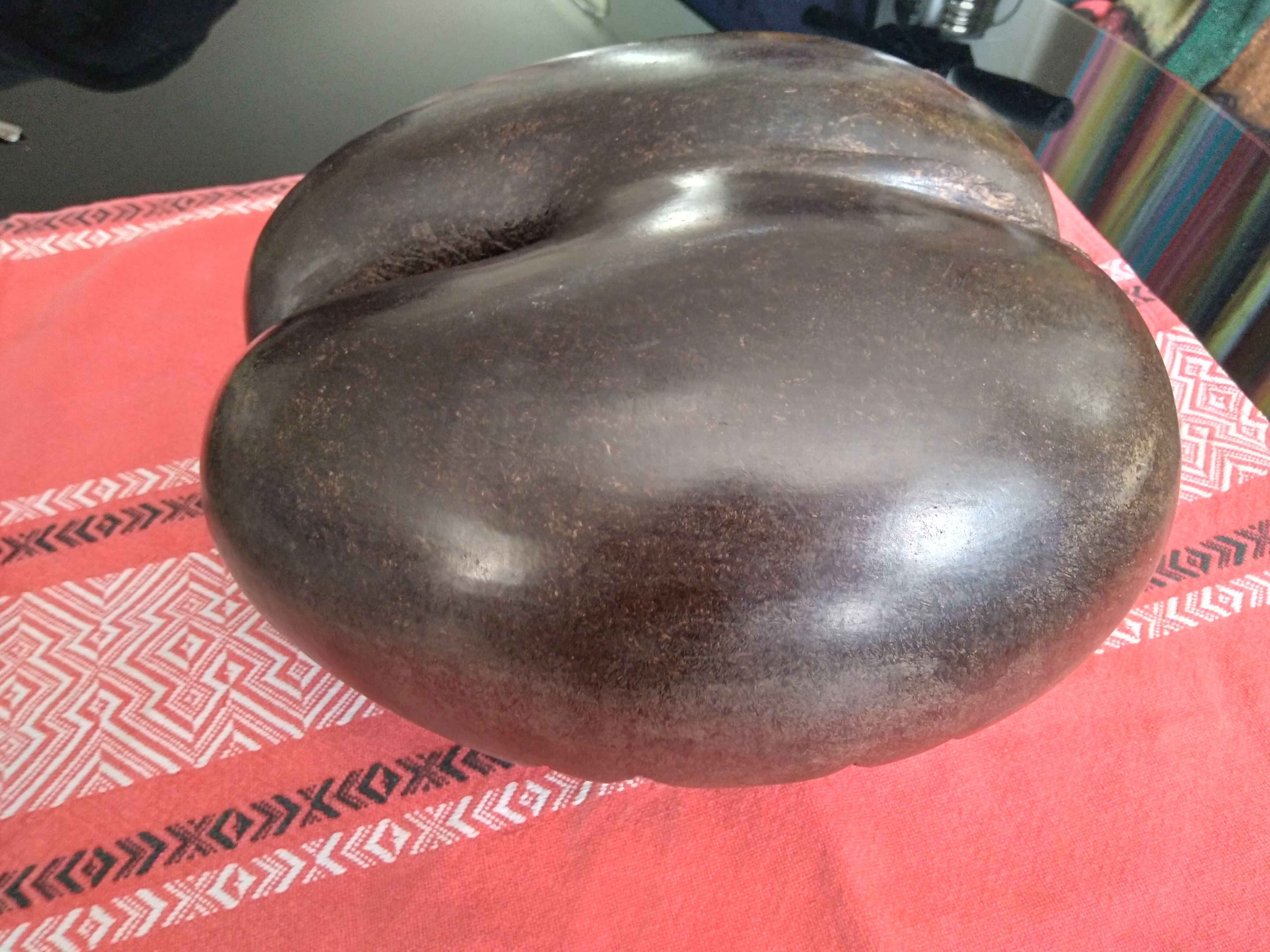 Coconut basket buttocks of Seychelles