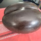 Coconut basket buttocks of Seychelles