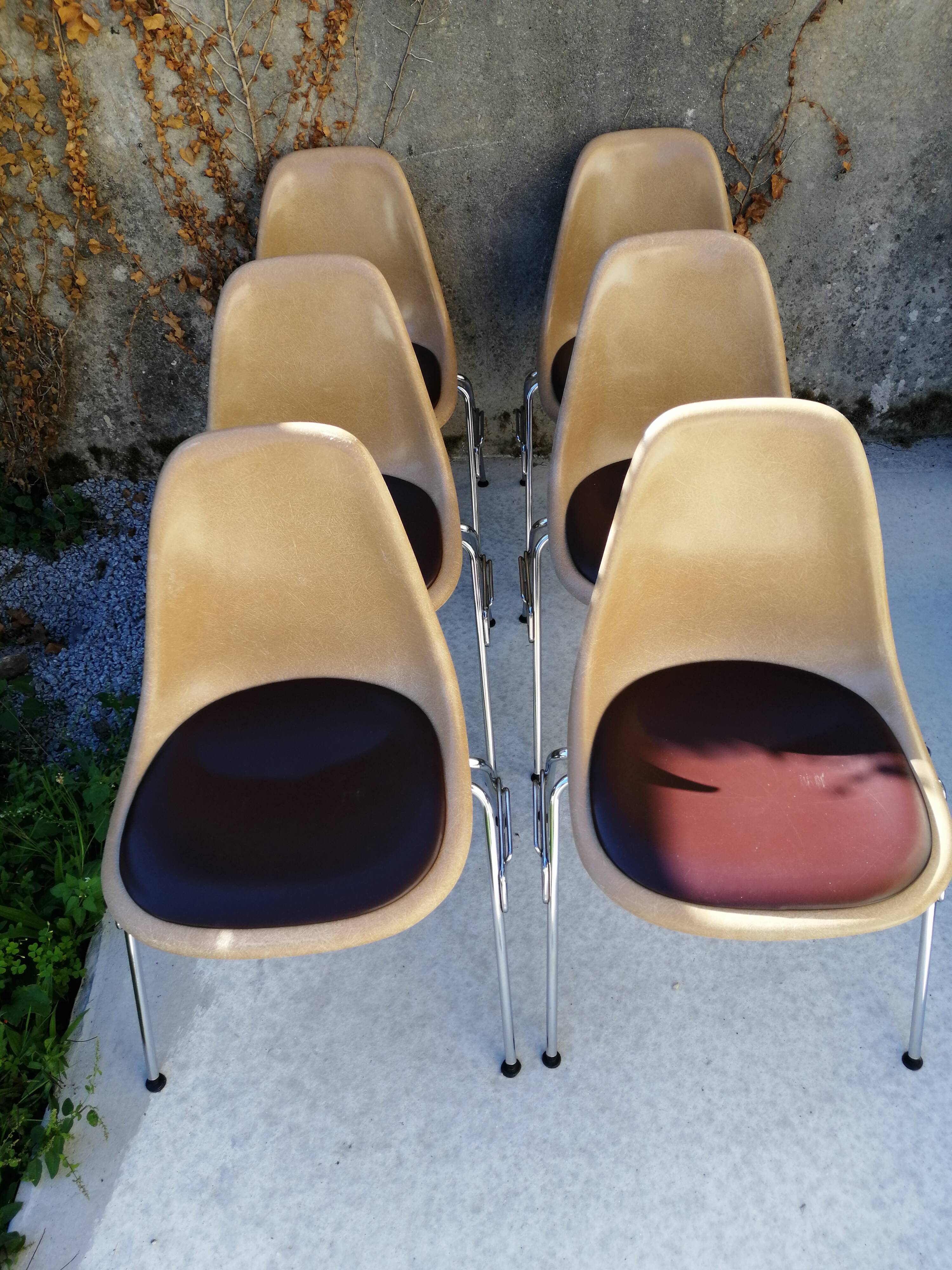 Lot de 6 chaises DSS Charles & Ray Eames pour Herman Miller Edition Vitra