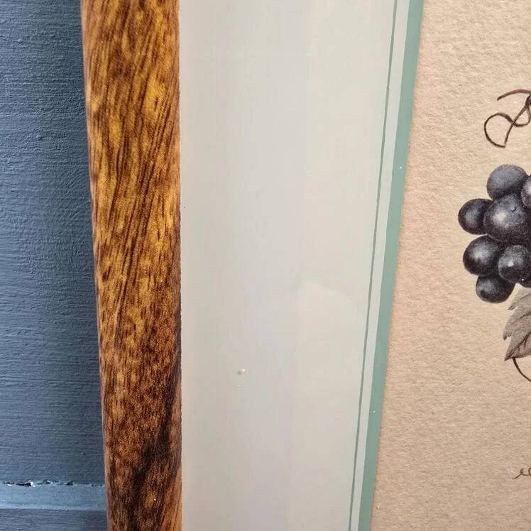 Cadre botanique Vitis Vinifera – Créastyl France