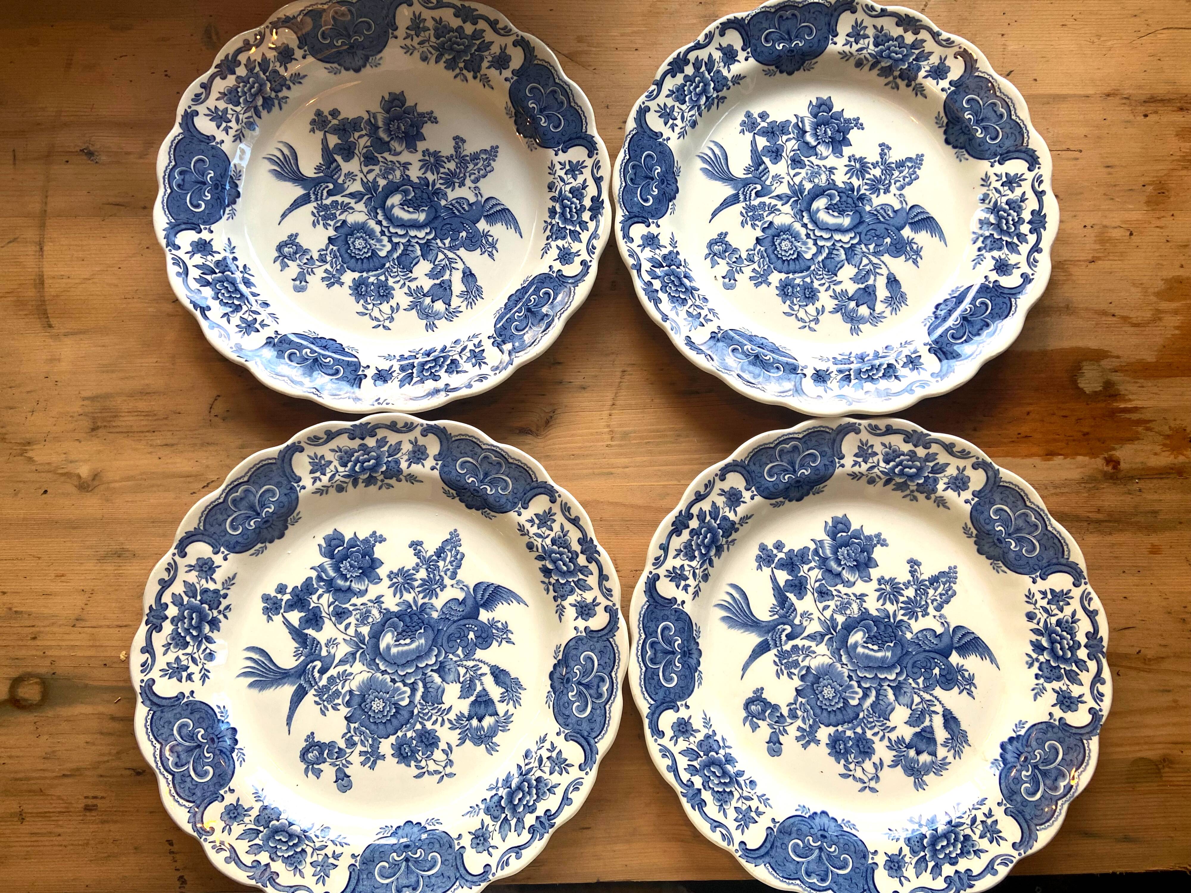 24 windsor english porcelain plates